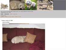 Tablet Screenshot of leothedog.com